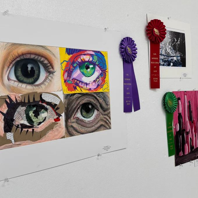 A variety of award-winning student art from Sandburg's Spring Art Exhibit