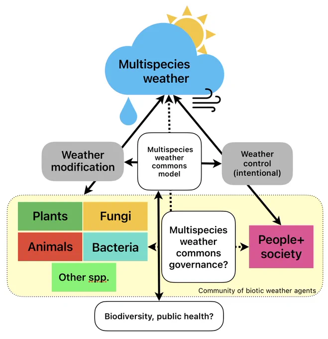Conceptual model of multispecies weather commons, showing how both people and other living beings are modifying the weather and resulting interactions.