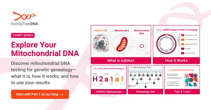 mtDNA series graphic covering maternal ancestry, testing, haplogroups, and genealogy research topics.