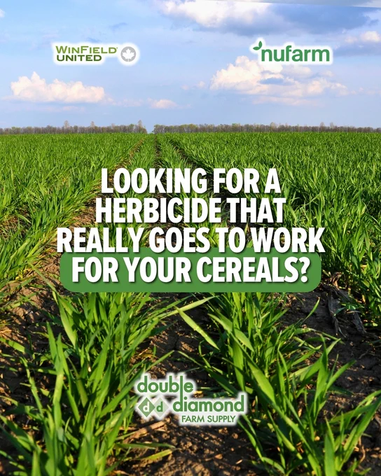 A scenic view of a lush, green cereal crop field under a blue sky with clouds. Prominent text in the center asks, "Looking for a herbicide that really goes to work for your cereals?" Logos of WinField United and Nufarm appear at the top, and the Double Diamond Farm Supply logo is at the bottom.