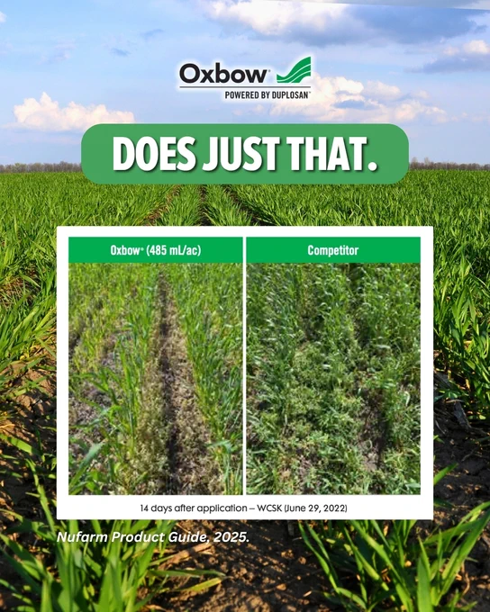 This image is an advertisement for Oxbow, powered by Duplosan, comparing crop results. At the top is the Oxbow logo. Below, bold text reads, "DOES JUST THAT." Two side-by-side images show different crop growth: the left labeled "Oxbow  (485 ml/Ac)" and the right labeled "Competitor." The Oxbow side shows fewer weeds. A note at the bottom states "14 days after application – WCSK (June 29, 2022)." The bottom text reads, "Nufarm Product Guide 2025." The background features a clear blue sky over a vibrant green field.