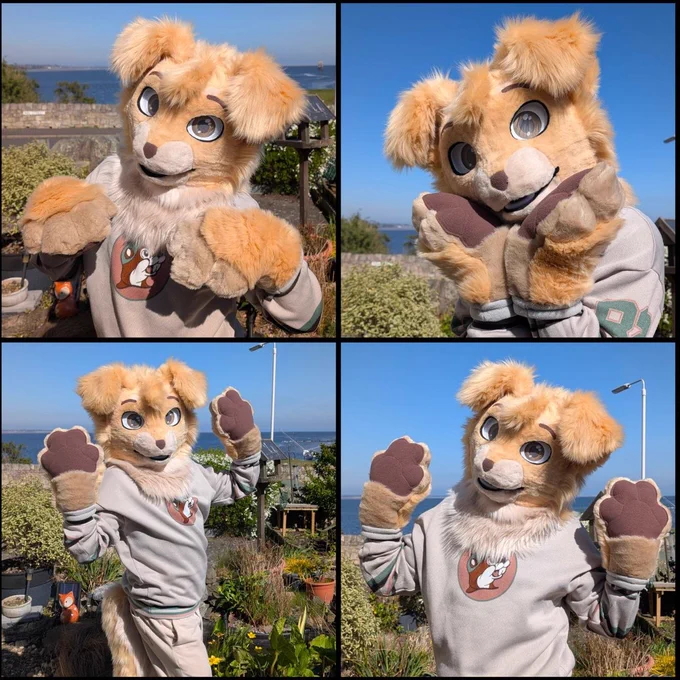 A golden retriever puppy fursuit partial posing cutely in a seaside garden.
He will be for sale at Confuzzled at the end of May at Cassius Crafts' dealers den table.