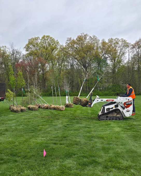 A landscaper operates a compact track loader in a yard with lush green grass, surrounded by trees and shrubs.