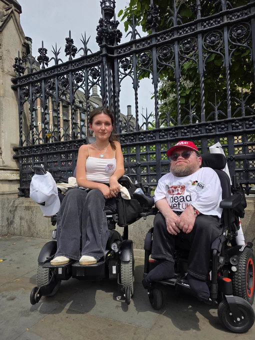 Outside Westminster at Assist Us To Live protest