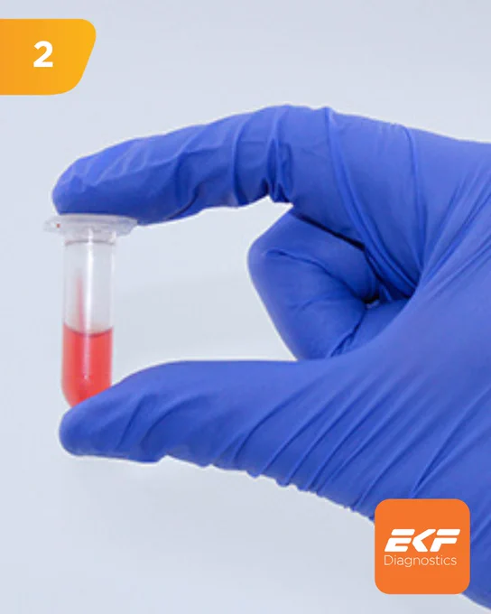 Gloved hand holding a small vial containing red liquid against a plain background.