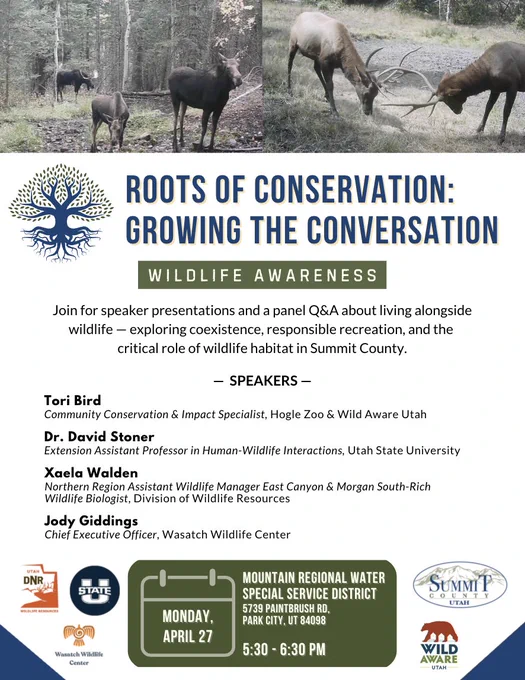 A photo of three moose in the forest and a photo of two elk battling with their antlers.
ROOTS OF CONSERVATION: GROWING THE CONVERSATION
WILDLIFE AWARENESS
Join for speaker presentations and a panel Q&A about living alongside wildlife — exploring coexistence, responsible recreation, and the critical role of wildlife habitat in Summit County.

SPEAKERS
Tori Bird
Community Conservation & Impact Specialist, Hogle Zoo & Wild Aware Utah

Dr. David Stoner
Extension Assistant Professor in Human-Wildlife Interactions, Utah State University

Xaela Walden
Northern Region Assistant Wildlife Manager East Canyon & Morgan South-Rich Wildlife Biologist, Division of Wildlife Resources

Jody Giddings
Chief Executive Officer, Wasatch Wildlife Center

MONDAY, APRIL 27
MOUNTAIN REGIONAL WATER
SPECIAL SERVICE DISTRICT
5739 PAINTBRUSH RD,
PARK CITY, UT
5:30-6:30 PM

Utah Division of Wildlife Resources logo
Utah State University logo
Wasatch Wildlife Center logo
Summit County Utah logo
Wild Aware Utah logo