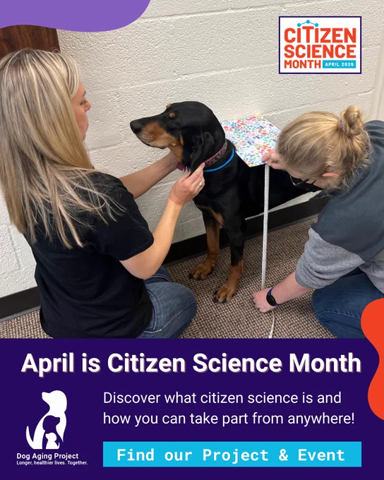 A graphic for April is Citizen Science Month, featuring an image of two people measuring a black-and-tan dog wearing a floral-patterned cloth over its back. With the following text: Discover what citizen science is and how you can take part from anywhere! Find our Project & Event on SciStarter.