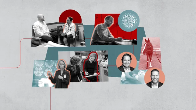 A collage of images depicting medical and scientific activities. Scenes include healthcare professionals in discussion, a person analyzing data on a computer, and brain scans. A horse is also pictured. The images are interspersed with red and teal design elements.
