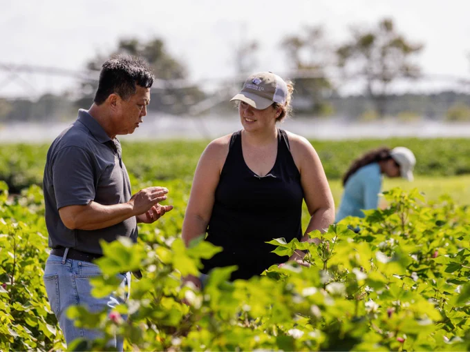 A person speaks with another individual in a field of green plants. A third person is in the background, tending to the plants. The surrounding environment is lush and vibrant under a bright sky.