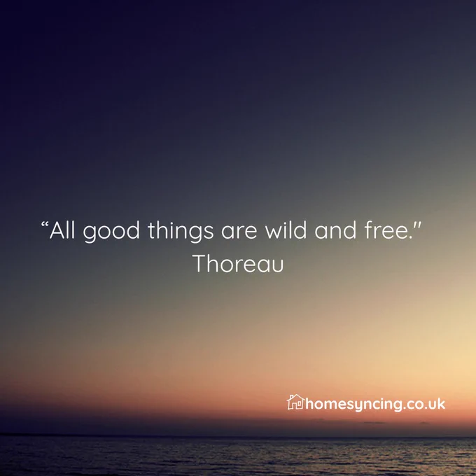 All Good Things are Wild and Free.  Thoreau.
homesyncing.co.uk