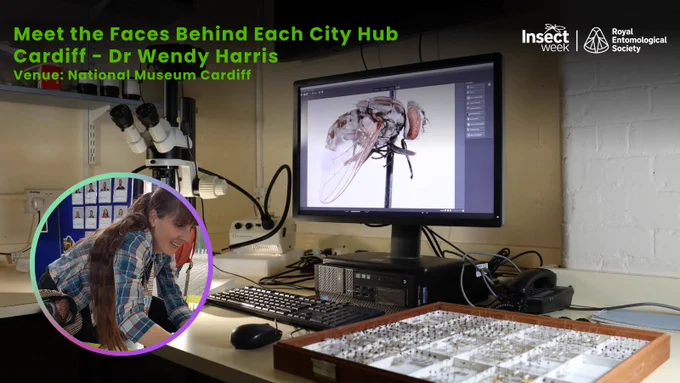 Insect specimens under a microscope with a detailed fly image displayed on a computer screen in a lab setting.

Meet the face behind this City Hub: Wendy Harris - Associate Professor of Biosciences, Swansea University & Convenor of Outreach, Education and Culture Special Interest Group.