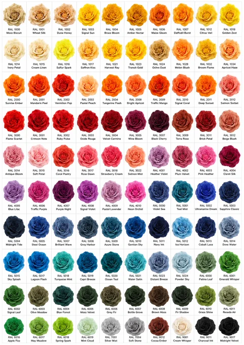AI-generated 10 by 10 grid of 100 realistic rose blooms, each recoloured as a different RAL paint reference and labelled with a RAL code and poetic colour name, arranged as a clean white botanical colour swatch.