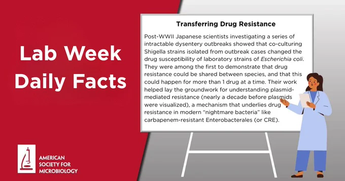 Post-WWII Japanese scientists investigating a series of intractable dysentery outbreaks showed that co-culturing Shigella strains isolated from outbreak cases changed the drug susceptibility of laboratory strains of Escherichia coli. They were among the first to demonstrate that drug resistance could be shared between species, and that this could happen for more than 1 drug at a time. Their work helped lay the groundwork for understanding plasmid-mediated resistance (nearly a decade before plasmids were visualized), a mechanism that underlies drug resistance in modern “nightmare bacteria” like carbapenem-resistant Enterobacterales (or CRE).