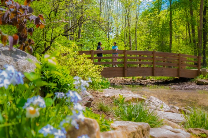 Two people standing on a bridge in the distance with blurred flowers, rocks, and greenery in the foreground and trees behind the bridge.
