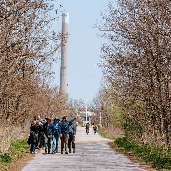 A group of people bird watching in a group as they walk along a paved path.