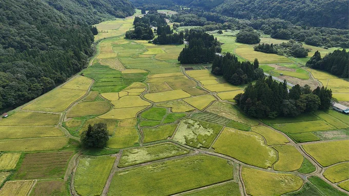 現在の骨寺村荘園遺跡