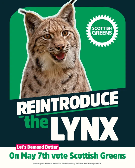 Reintroduce the lynx. Let's demand better. On May 7th vote Scottish Greens.