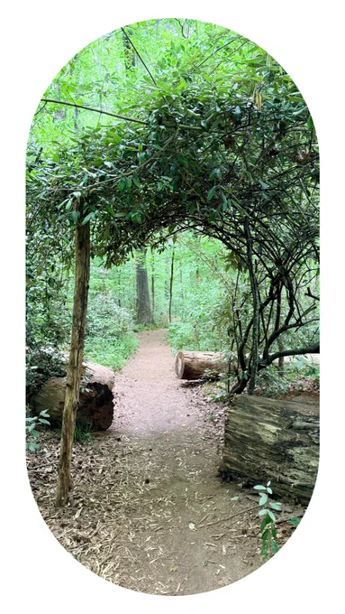 Picture of branches arching over a trail that someone has slightly raised with some found supports.
