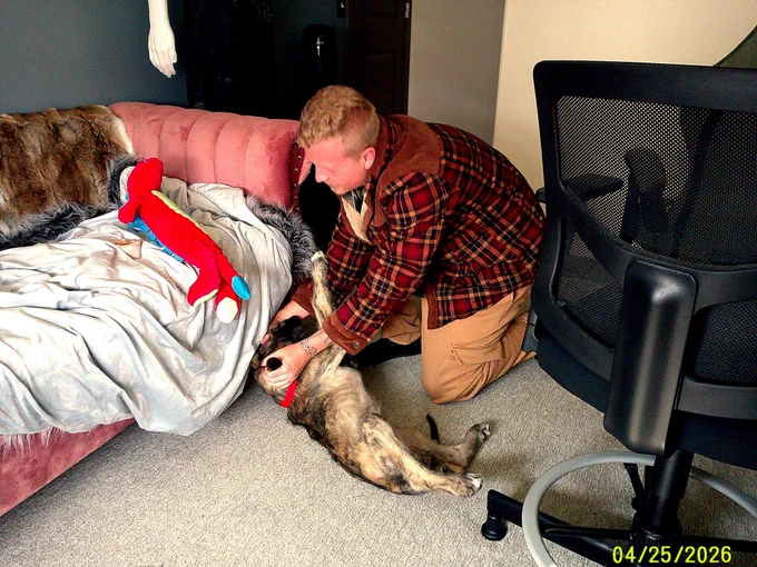 Skadi the Irish Wolfhound puppy wrestling with her owner Rae Serbeck