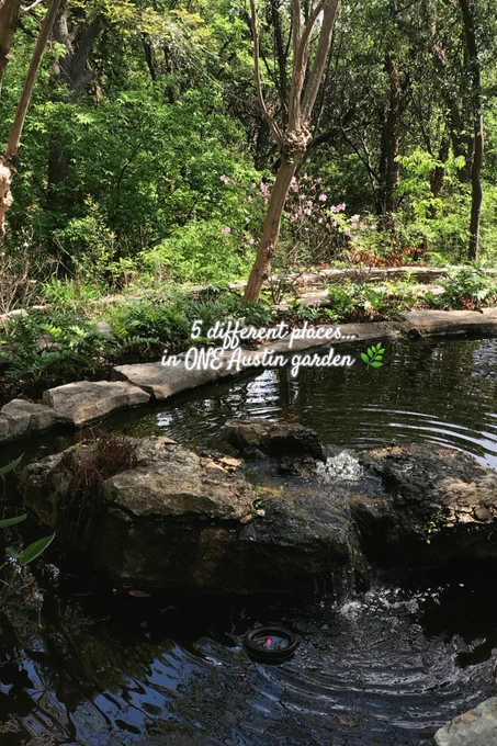 Waterfall and pond surrounded by greenery at Zilker Botanical Garden in Austin, TX