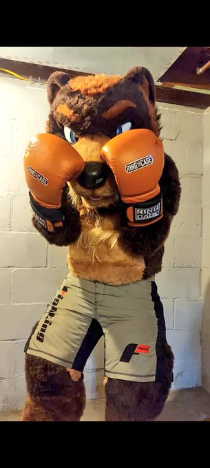 IRL boxing bear.