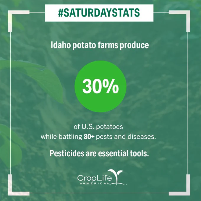 #SaturdayStats
