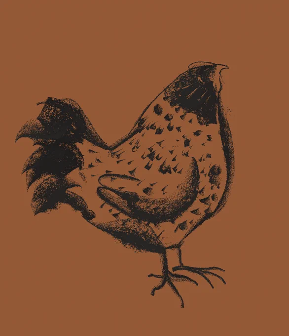 drawing of a chicken