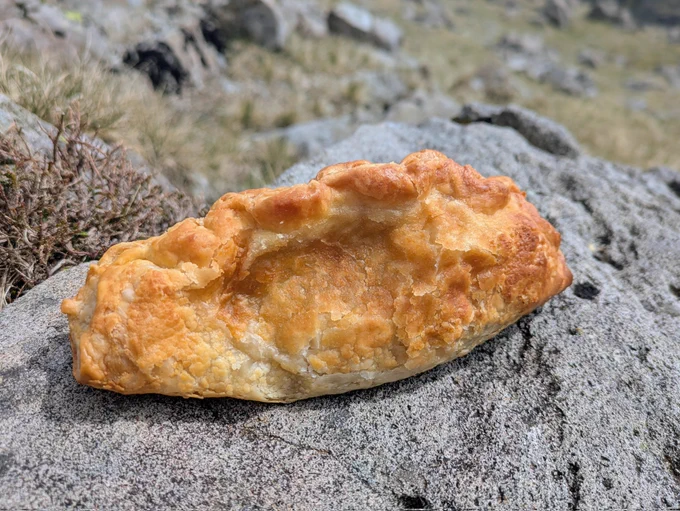 A golden pasty sitting on a fell top rock. 