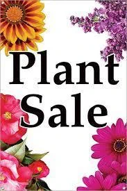 Plant Sale