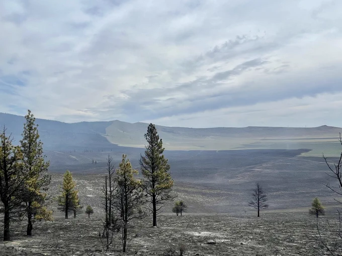 Overview of burned area.