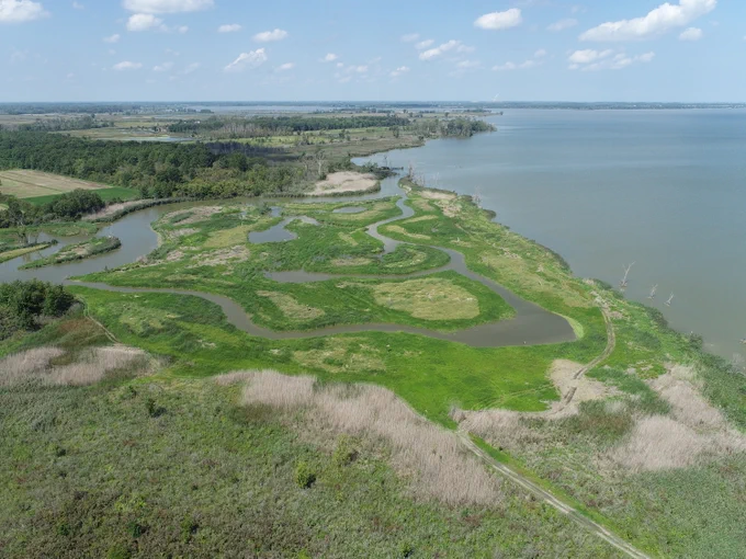 Image credit: Pickerel Creek riparian restoration, Summer 2023 / The Nature Conservancy; Justin Park, ASLA, PLA / Biohabitats 