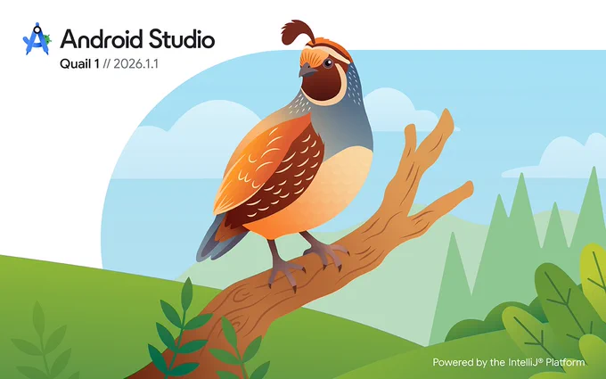 Android Studio Quail 1 featuing an illustrated quail on a branch 