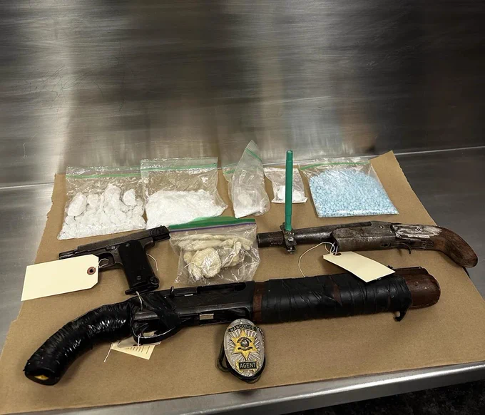 South Louisiana woman arrested after narcotics bust

