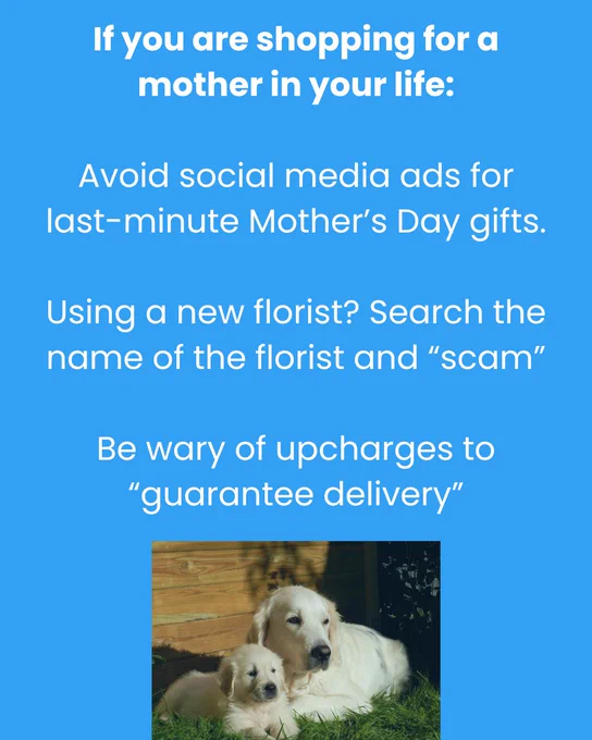 Two dogs are lying on grass in front of a wooden fence. Above them is text with tips for Mother's Day shopping, including advice to avoid social media ads for last-minute gifts, check new florists for scams, and be cautious of delivery upcharges.