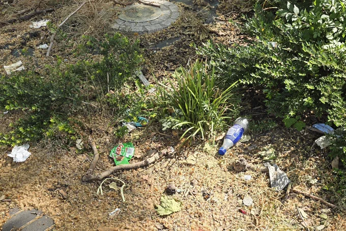 Litter at Oval Triangle