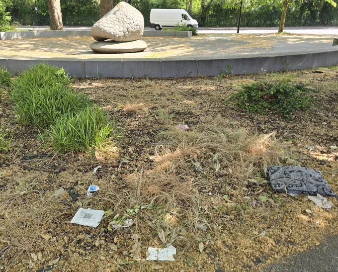 Litter at Oval Triangle