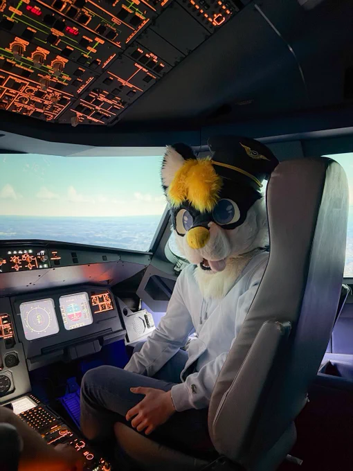 Furry wearing a pilot hat sits in the cockpit of an Airbus A320 simulator with his face looking into the camera