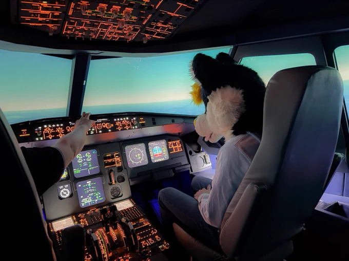 Furry in a pilot hat sitting in the cockpit of an Airbus A320 simulator