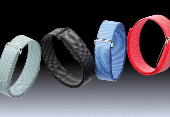 Google Fitbit Air
