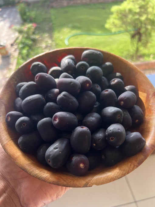 Black Jamun