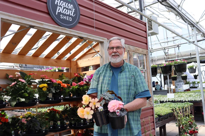 New begonia varieties keep getting better and better -- stronger branching, bigger flowers. In today's column I talk to Rodney Wohlgemuth, owner of Green Oak Gardens. He shares the names of top varieties and what you need to know to keep them growing.