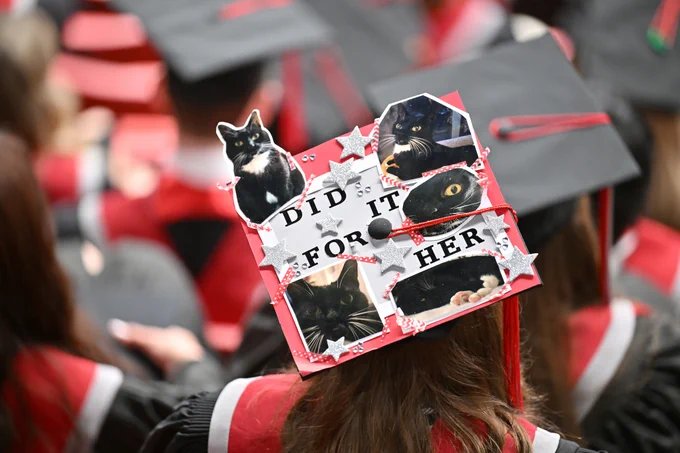 A graduation cap decorated with a collage-style design featuring multiple photos of a black-and-white cat arranged on a red background. Silver star embellishments and red patterned tape frame the photos. Centered text on the cap reads, “DID IT FOR HER.” The cap is worn by a seated graduate in a black gown with red accents, surrounded by other graduates in black caps and gowns in a large ceremony setting.