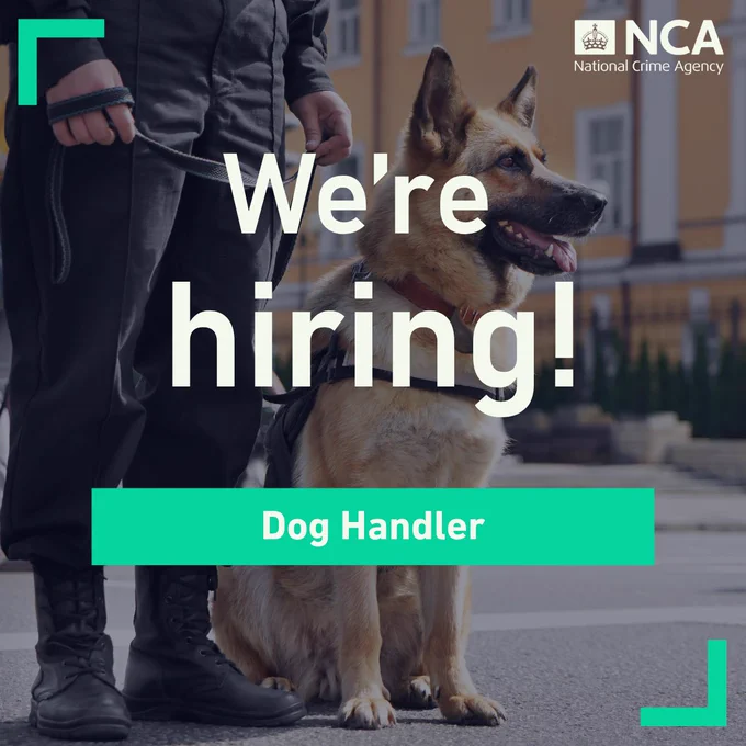 We're hiring a dog handler