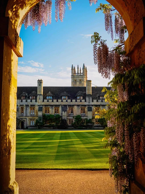 Sunlight pours through an archway framed with hanging purple wisteria flowers, overlooking the lawn and historic buildings of Magdalen College in Oxford.
