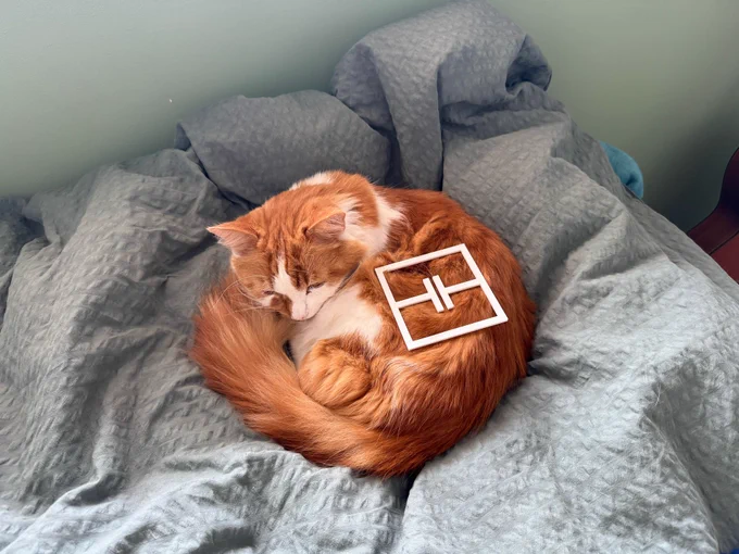 Completely unrelated image of a sleeping cat added purely for shock value.