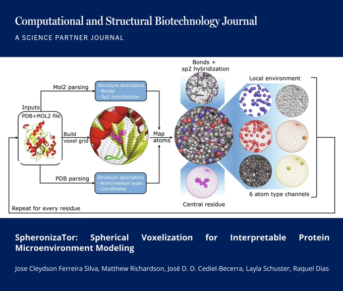 🔗 SpheronizaTor: Spherical Voxelization for Interpretable Protein Microenvironment Modeling. Computational and Structural Biotechnology Journal (CSBJ). DOI: https://doi.org/10.34133/csbj.0076

📚 CSBJ - A Science Partner Journal: https://spj.science.org/journal/csbj
