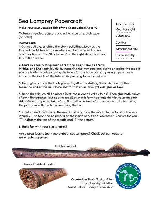 A screenshot that shows the front page of the Sea Lamprey Papercraft, with a picture of the finished model.