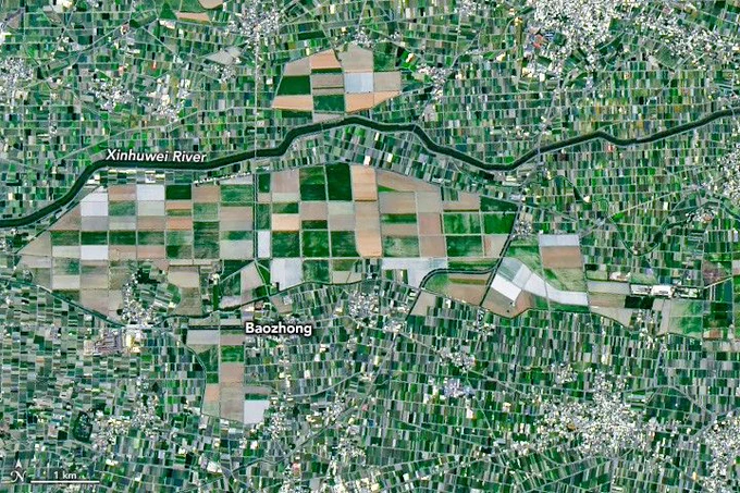 A zoomed in portion of the map shows an area with a combination of large and small fields. Areas with large fields were generally once part of sugar plantations.
