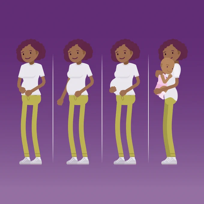 Cartoon image of the trimesters of pregnancy.