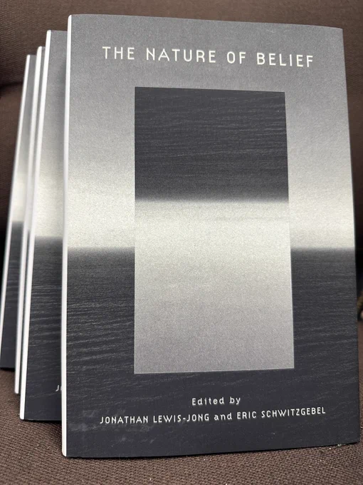 Book cover: The Nature of Belief, edited by Jonathan Lewis-Jong and Eric Schwitzgebel